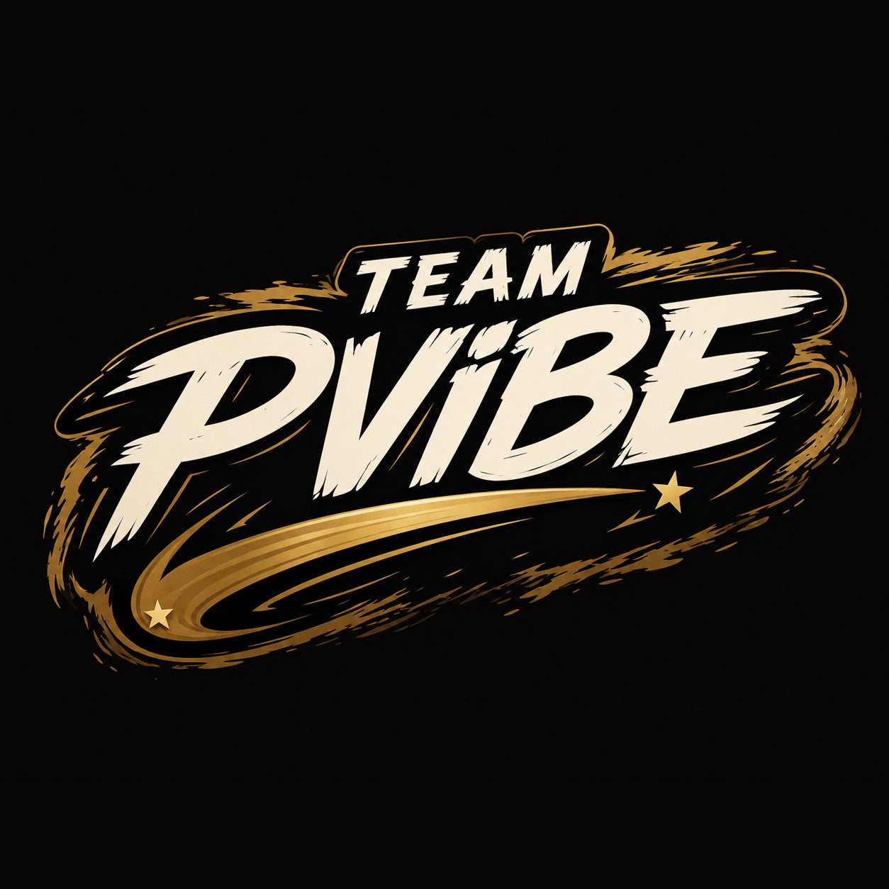 Team Pvibe